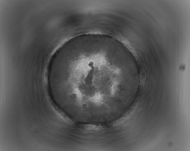 X0000101710347200807241501