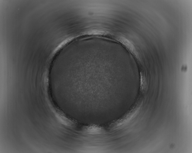 X0000101710348200807241501