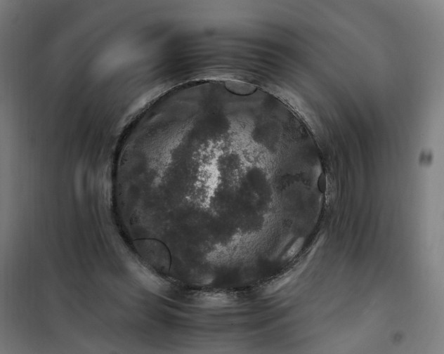 X0000101710349200807241501