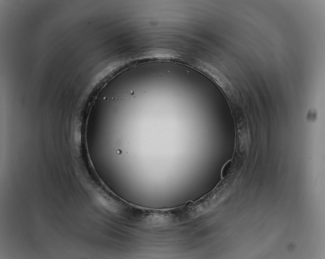 X0000101710350200807241501