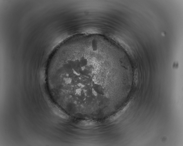 X0000101710351200807241501