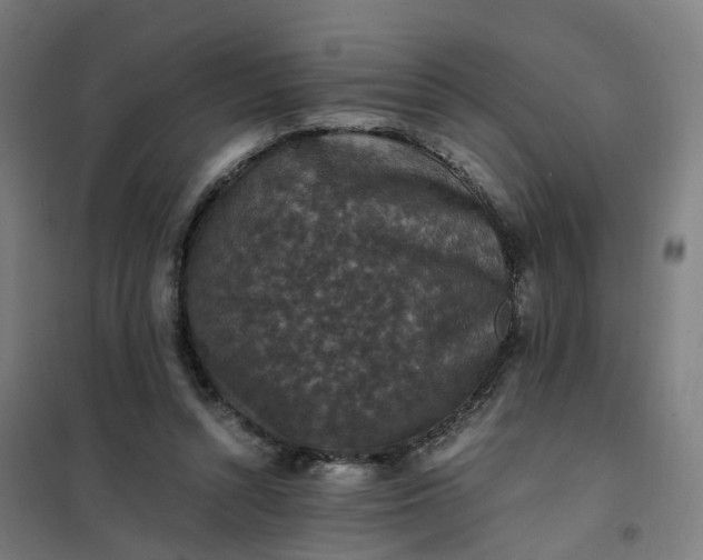 X0000101710352200807241501