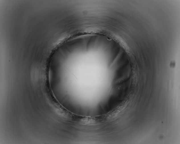 X0000101710354200807241501