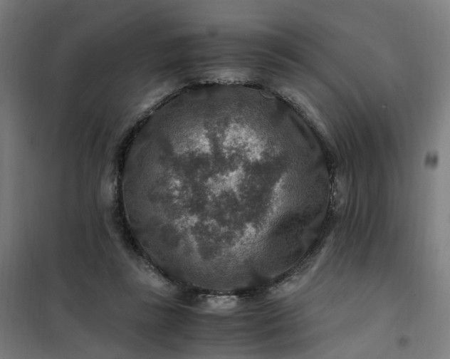 X0000101710355200807241501