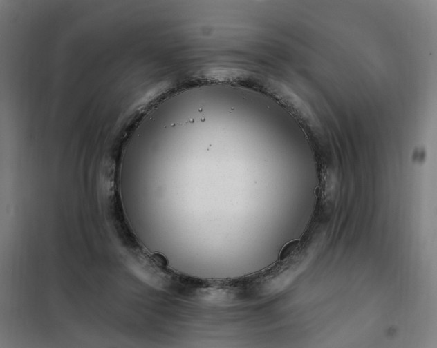 X0000101710356200807241501