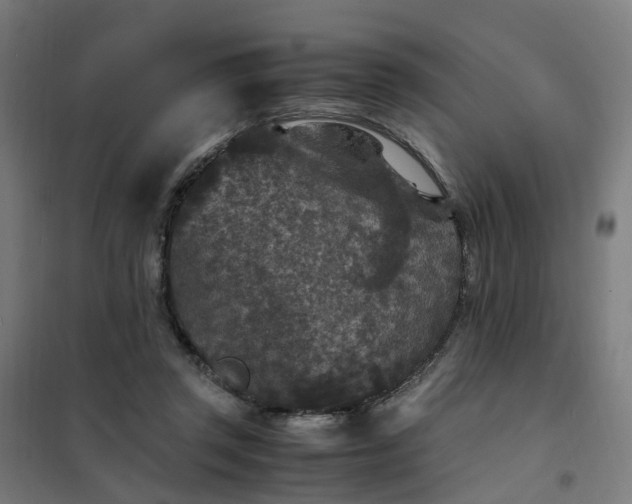 X0000101710357200807241501