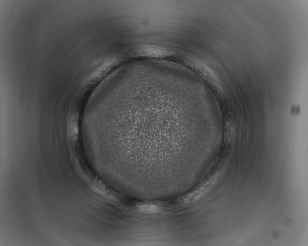 X0000101710358200807241501