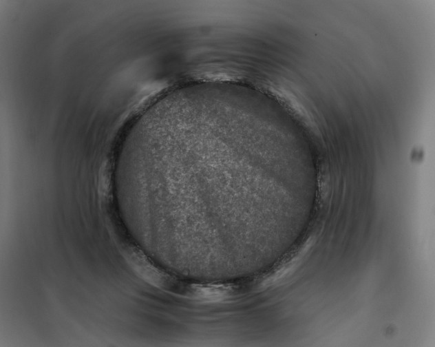 X0000101710359200807241501