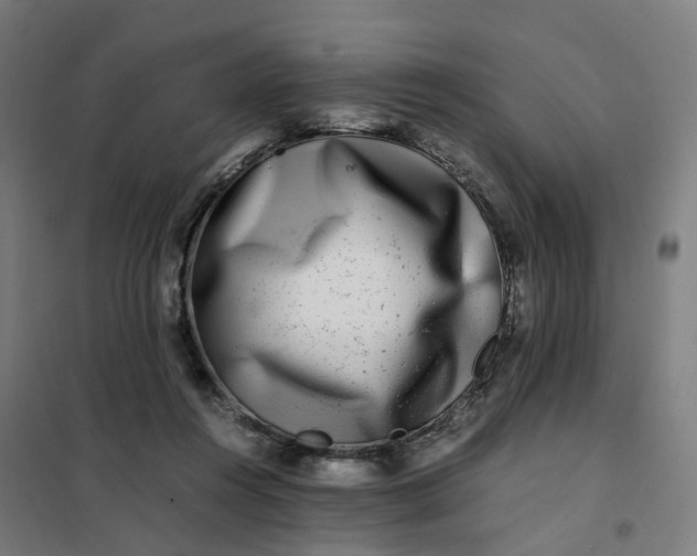 X0000101710360200807241501