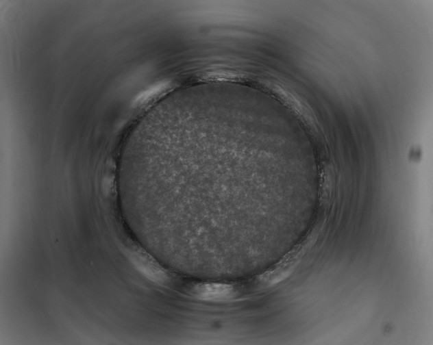 X0000101710361200807241501