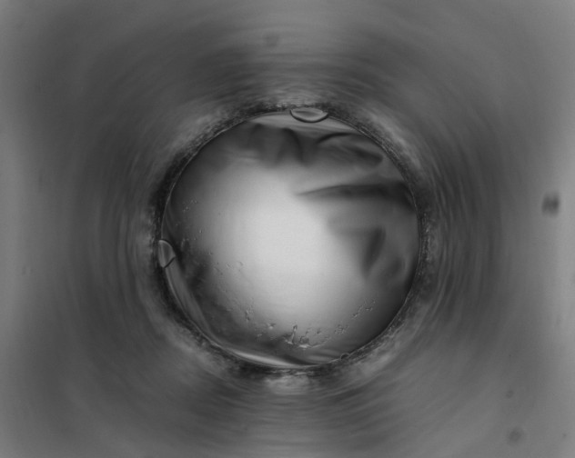 X0000101710362200807241501