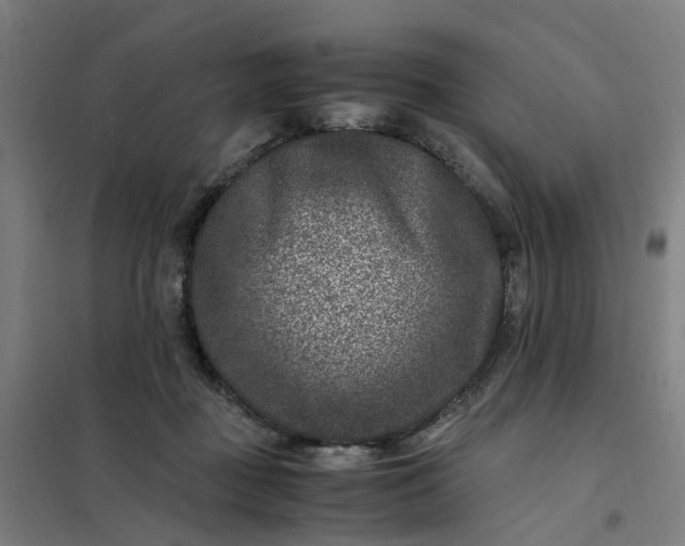 X0000101710363200807241501