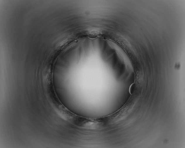 X0000101710364200807241501