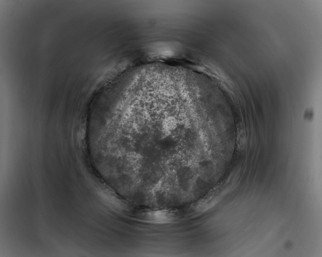 X0000101710365200807241501