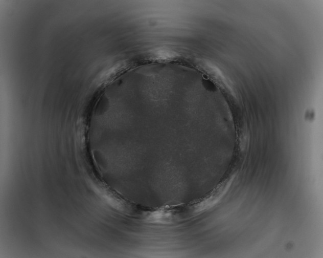 X0000101710366200807241501