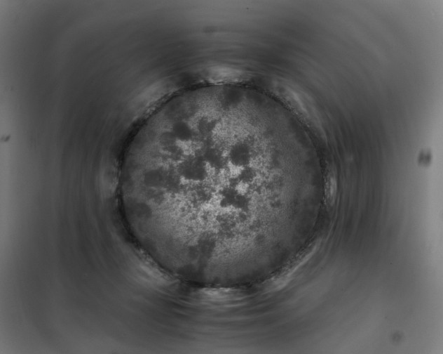 X0000101710367200807241501