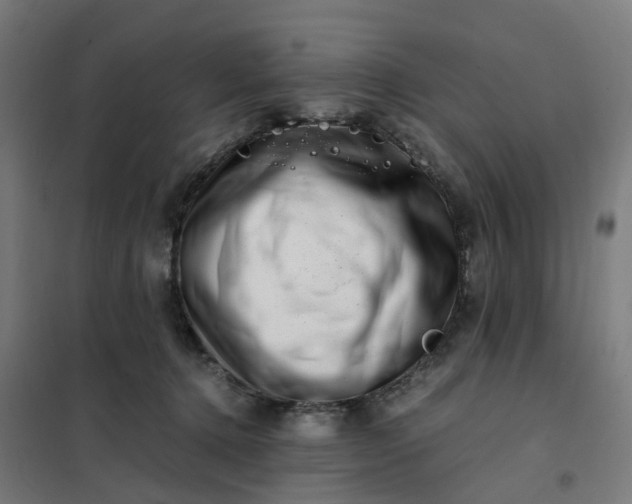 X0000101710368200807241501