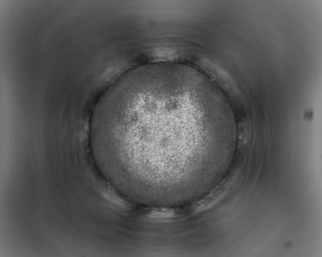 X0000101710369200807241501