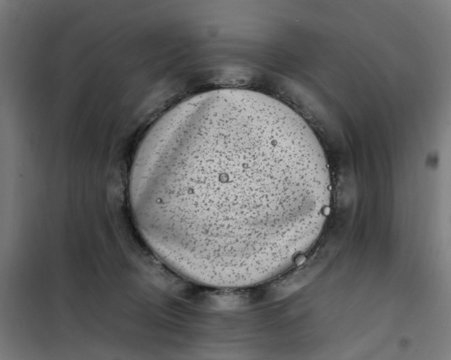 X0000101710370200807241501