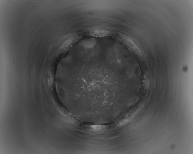 X0000101710371200807241501