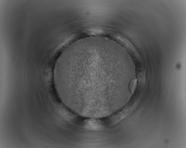 X0000101710372200807241501