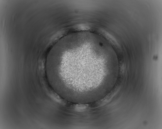 X0000101710373200807241501