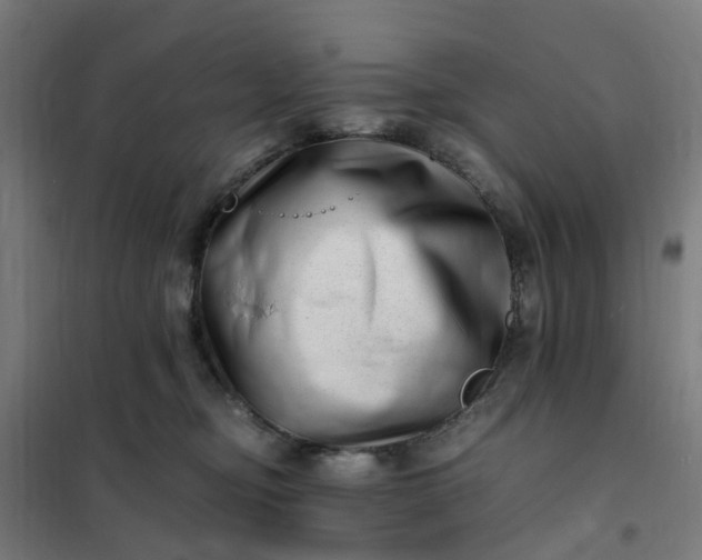 X0000101710374200807241501