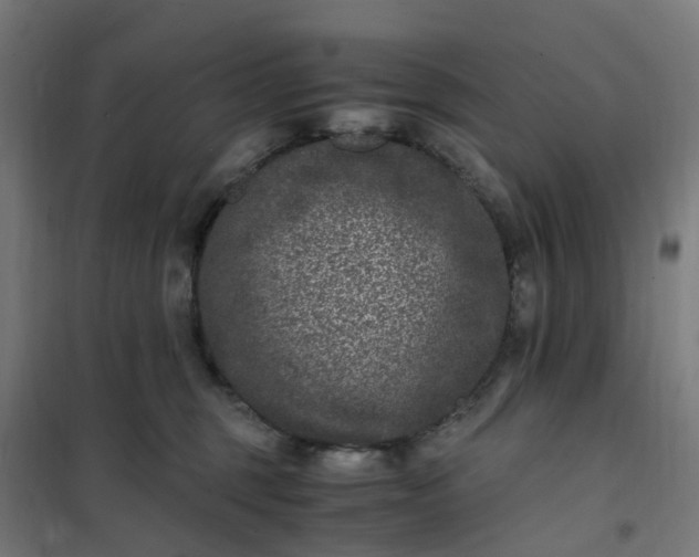 X0000101710375200807241501