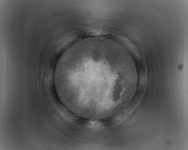 X0000101710376200807241501