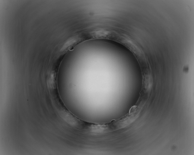 X0000101710378200807241501