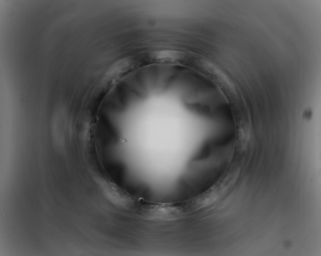 X0000101710379200807241501