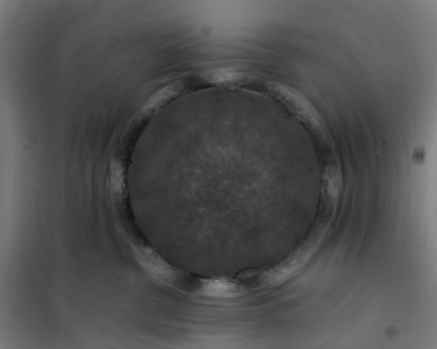 X0000101710380200807241501