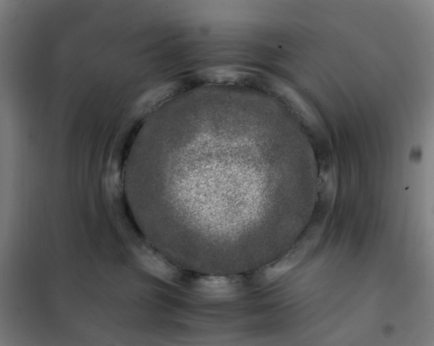 X0000101710381200807241501