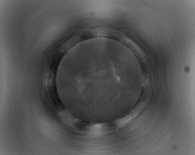 X0000101710382200807241501