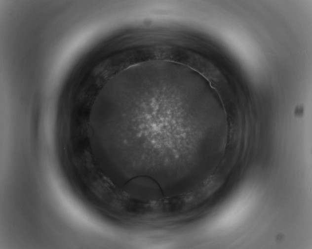 X0000101710383200807241501