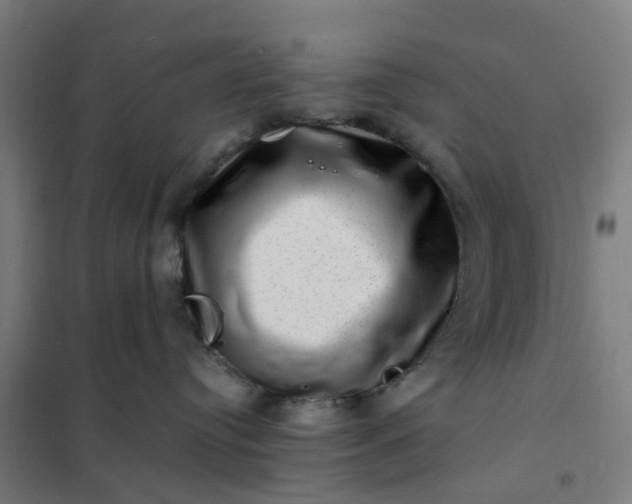 X0000101710384200807241501