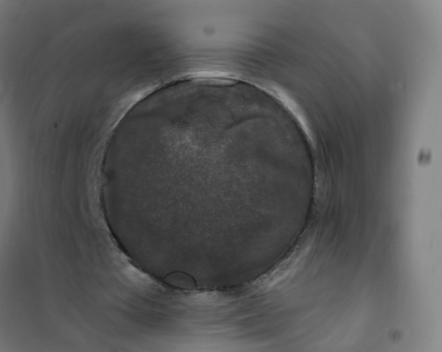 X0000101710385200807241500