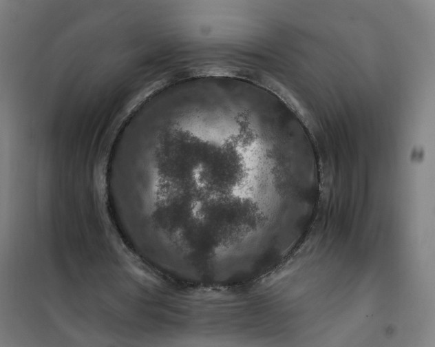 X0000101710386200807241500