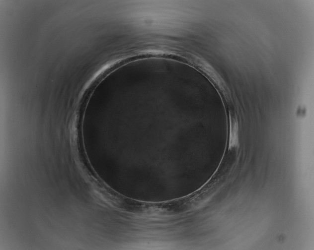 X0000101710387200807241500