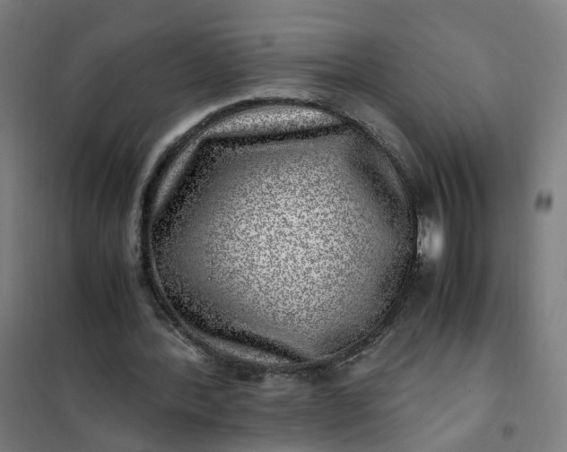 X0000101710388200807241500