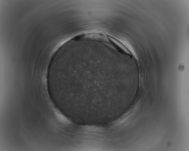 X0000101710389200807241500