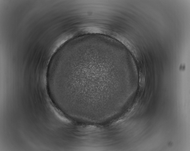 X0000101710390200807241500