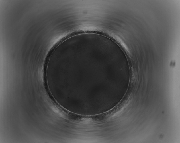 X0000101710391200807241500