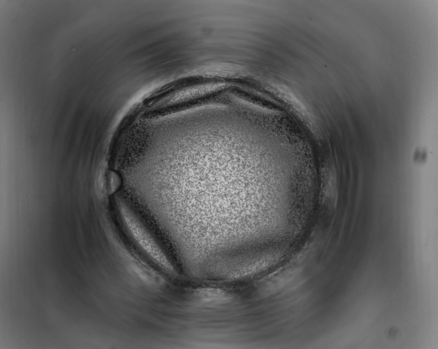 X0000101710392200807241500