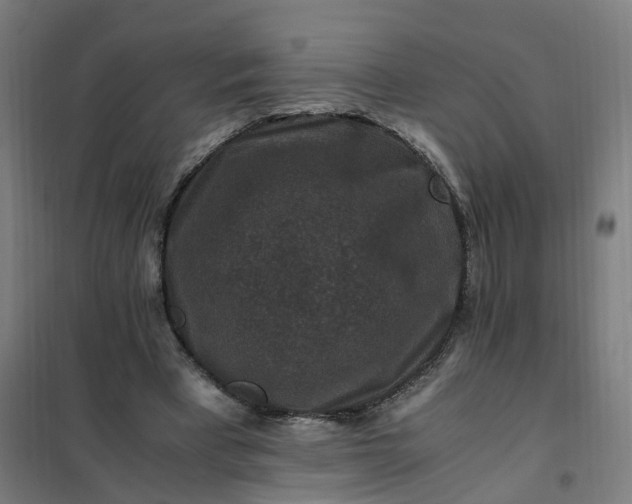 X0000101710393200807241500