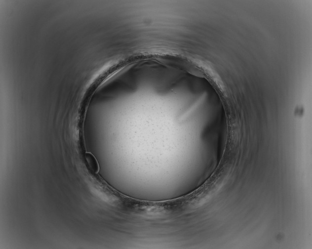 X0000101710395200807241500