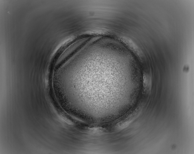 X0000101710396200807241500