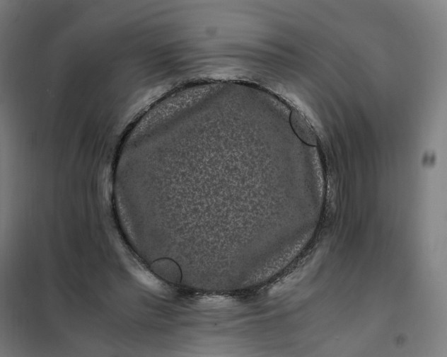 X0000101710397200807241500