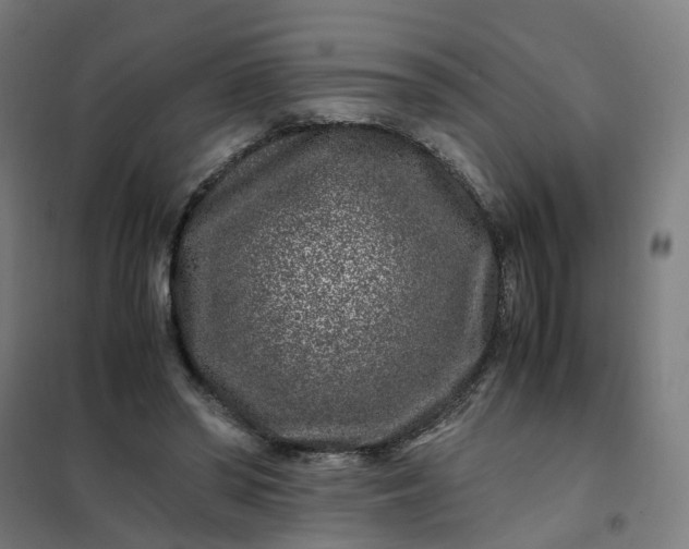 X0000101710398200807241500