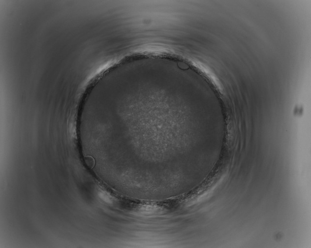 X0000101710399200807241500